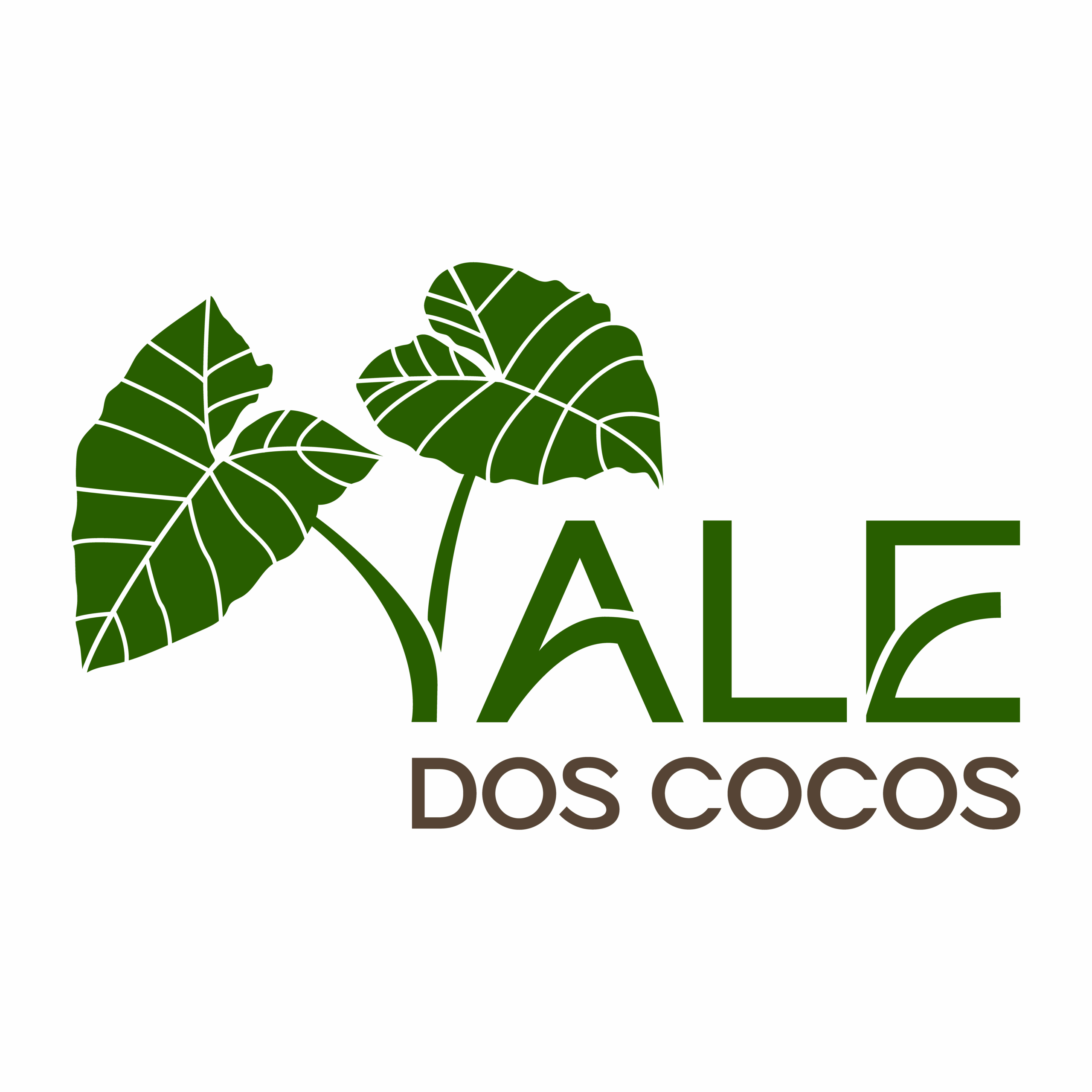 Vale dos Cocos